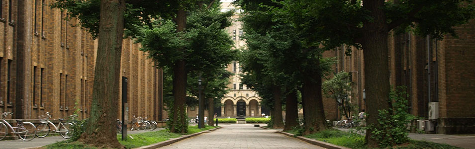 東京大学のイメージ